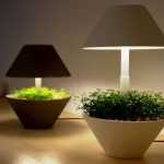 Лампа для подсветки растений: виды, выбор, особенности использования