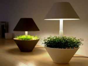 Лампа для подсветки растений: виды, выбор, особенности использования