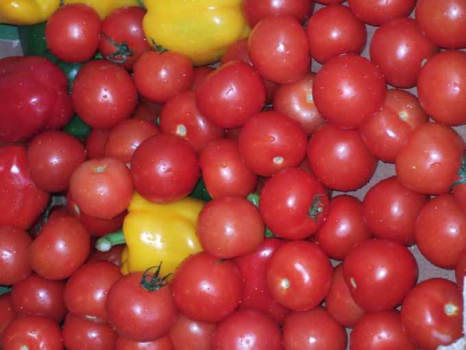 Маринованные помидоры черри - заготовка на зиму