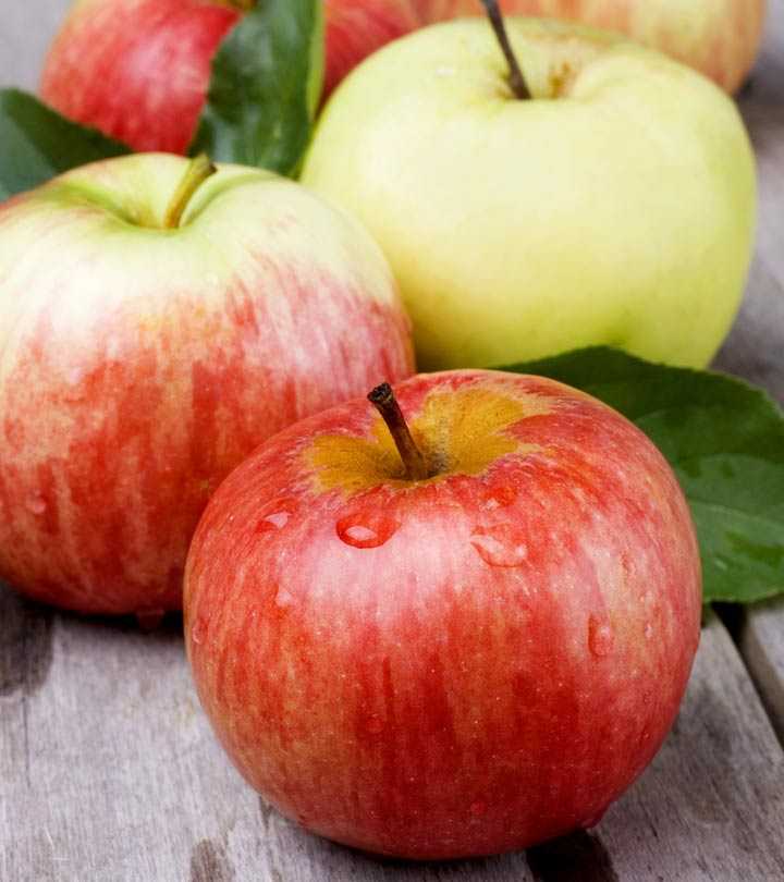 сорта яблок с фото и описанием