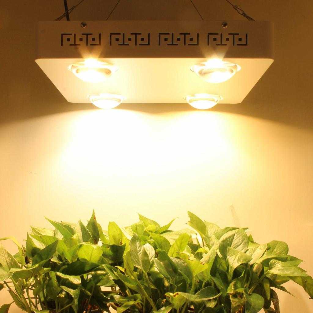 какие лампы для подсветки растений лучше