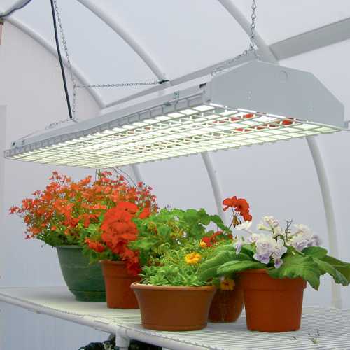 подсветка растений светодиодными лампами