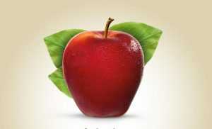 Яблоки Моди: характеристика сорта, особенности, место выращивания