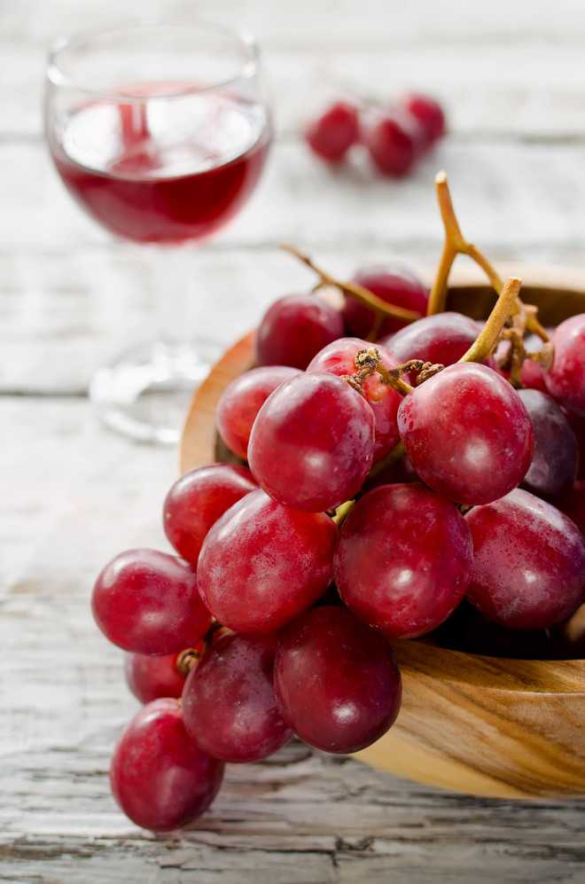 Красные сорта виноградов
