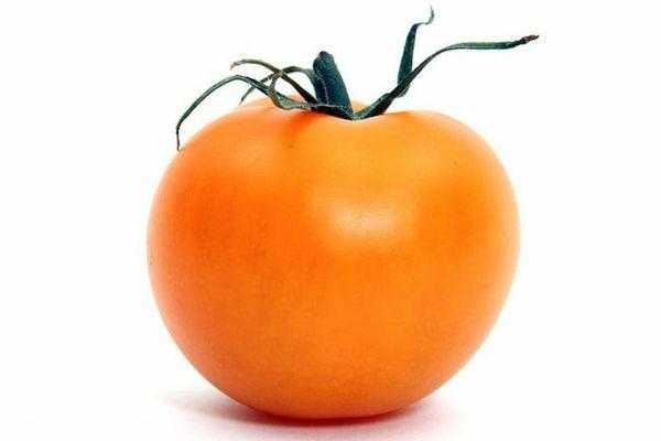 томат оранж фото
