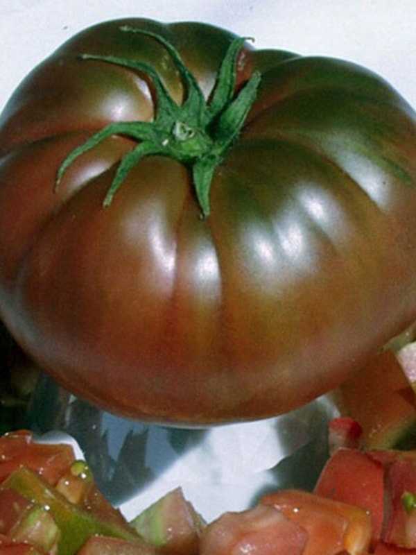 томат черный барон выращивание в открытом грунте