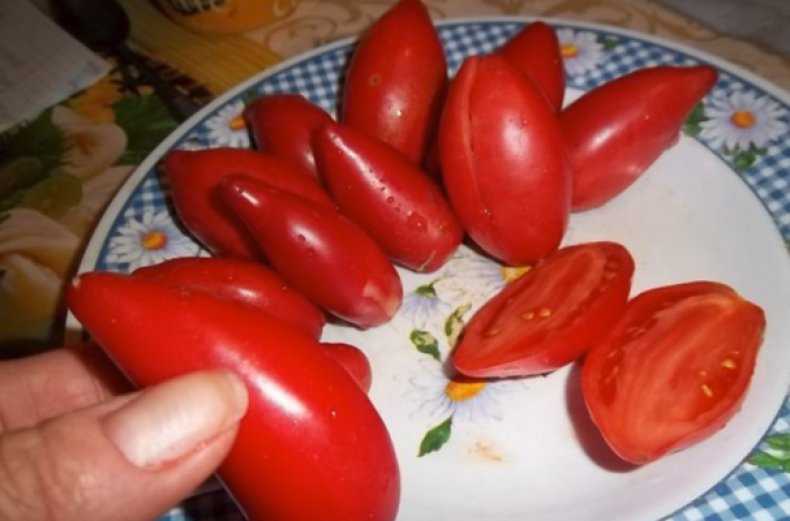 помидоры супермодель