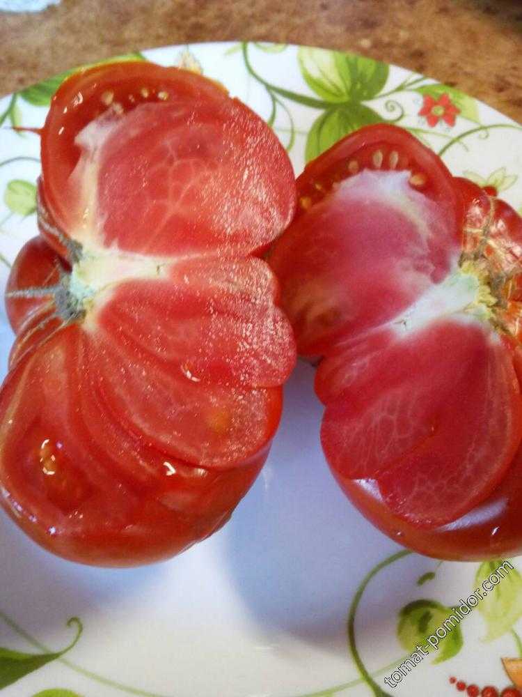 томат в разрезе