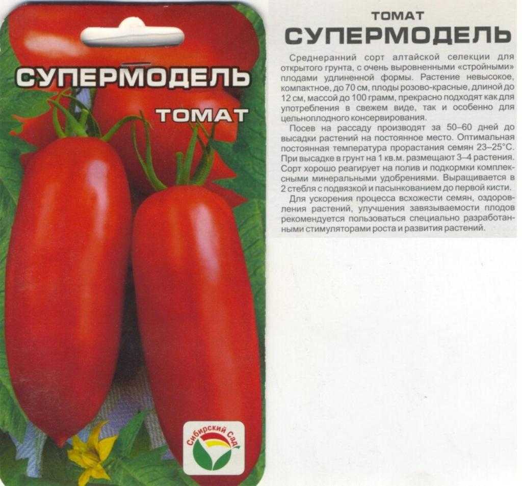 томат супермодель