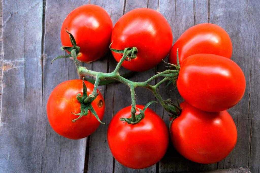 описание сорта томатов де барао
