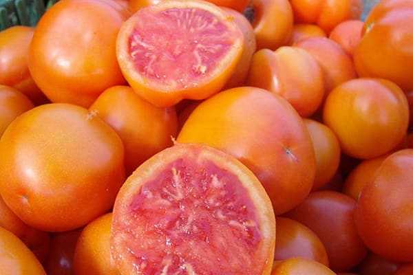 томат грейпфрут